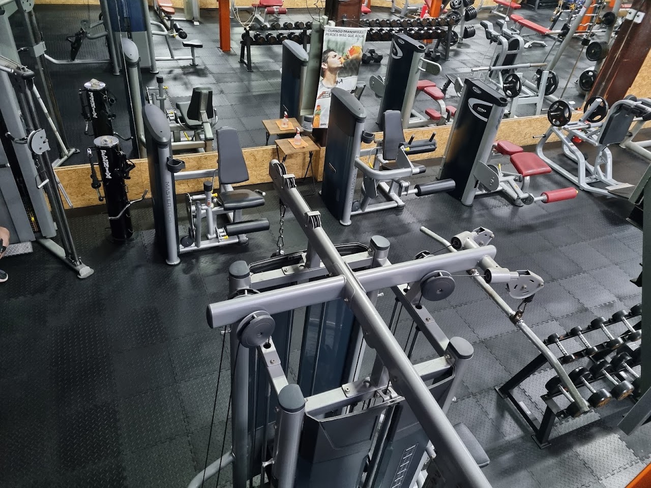 Área de pesas libres y racks en New Life Gimnasio Corrientes