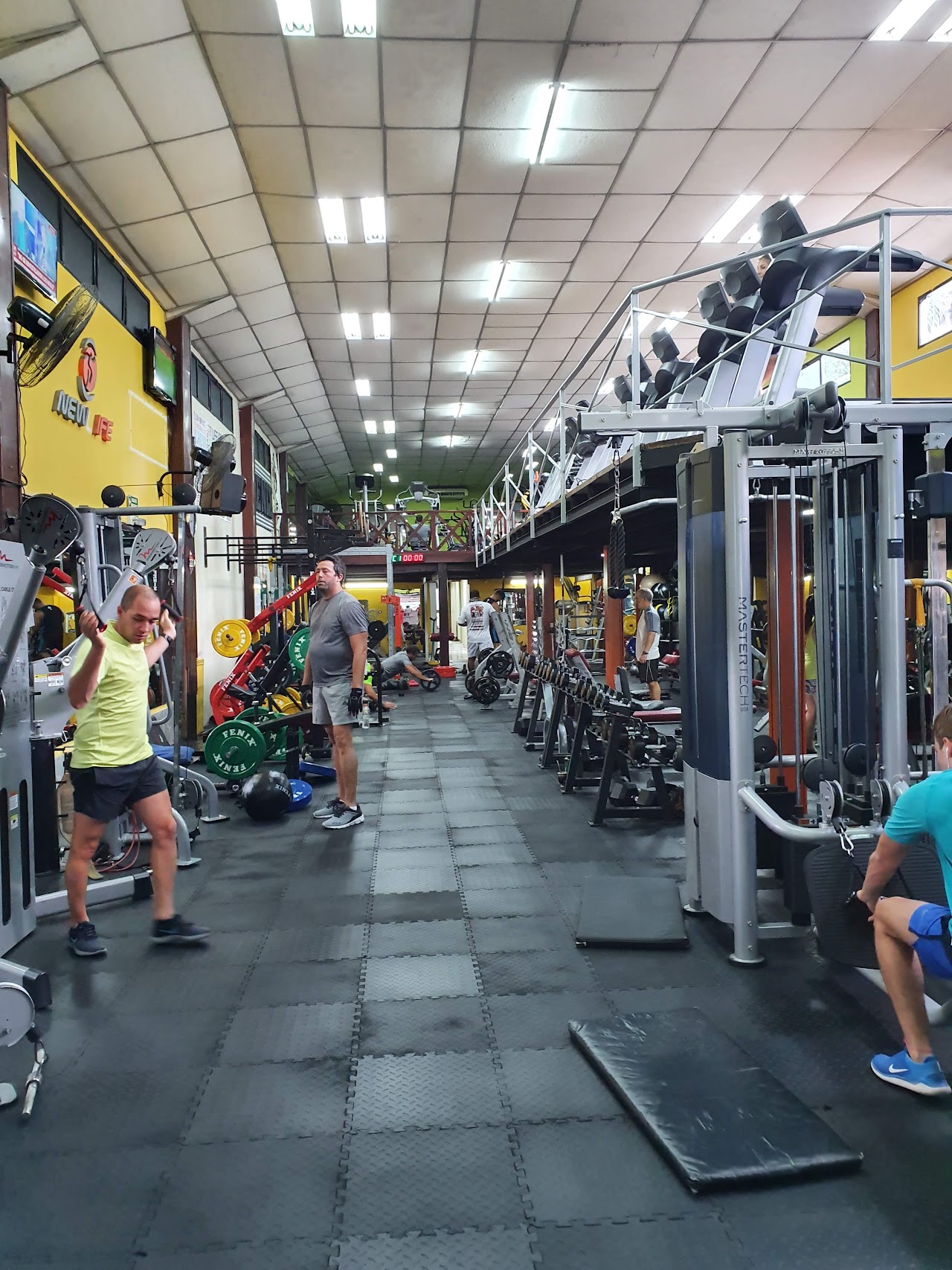 Sector de cardio con cintas y remos con vistas amplias