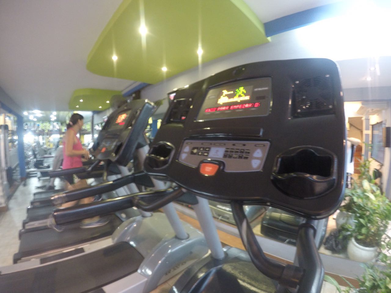 Zona de entrenamiento funcional, césped y clases grupales en New Life
